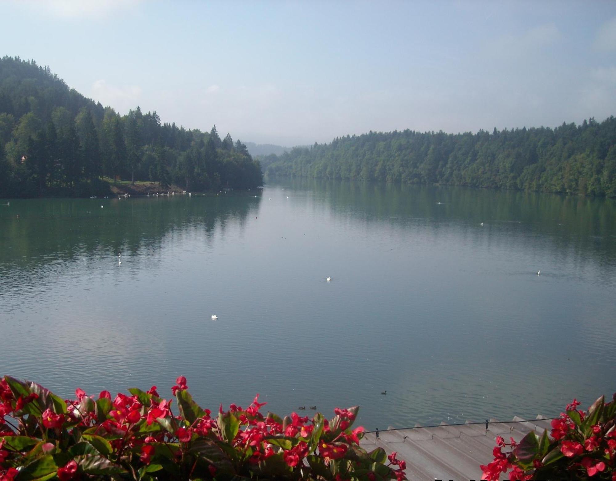 Gostisce Jezero Bed & Breakfast เมดโวเด ภายนอก รูปภาพ